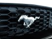 Ford Mustang 2018 - Màu trắng, xe nhập