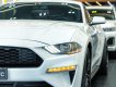 Ford Mustang 2018 - Màu trắng, xe nhập