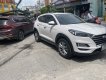 Hyundai Terracan 2020 - Bán ô tô đăng ký lần đầu 2020 còn mới giá tốt 810tr