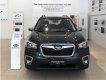 Subaru Forester 2022 - Giảm thêm 10 triệu, xe nhập khẩu, bảo hành 5 năm, sẵn xe giao ngay