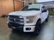 Ford F 150 2014 - Platinum nhập Mỹ