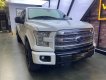 Ford F 150 2014 - Platinum nhập Mỹ