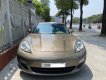 Porsche Panamera 2010 - Xe cực chất