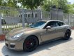 Porsche Panamera 2010 - Xe cực chất