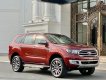 Ford Everest 2020 - Odo 2 vạn chủ từ đầu - không lỗi nhỏ, full lịch sử hãng