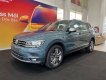 Volkswagen Tiguan 2022 - Hỗ trợ gần 50% phí trước bạ