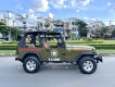 Jeep Wrangler 1996 - Nhập Mỹ, số sàn 2 cầu hàng hiếm. Xe giấy tờ zin, có máy lạnh, bao không hao xăng, chạy 100km/10 lít