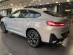 BMW X4 2022 - Đủ màu, giao xe ngay