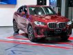 BMW X4 2022 - Sẵn xe giao ngay