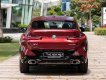 BMW X4 2022 - Sẵn xe giao ngay