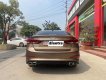Hyundai Elantra 2016 - Màu nâu cà phê