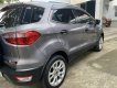 Ford EcoSport 2018 - Xe màu xám