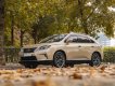 Lexus RX 300 2009 - Xe màu vàng cát, xe nhập