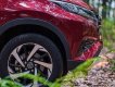Toyota Rush AT 2021 - Toyota Hoài Đức cam kết bán rẻ nhất Hà Nội-Toyota Rush AT khuyến mại lớn nhất năm 2021