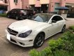 Mercedes-Benz CLS 500 2008 - Cần bán Mercedes CLS500 đăng ký 2008, số tự động, full option, màu trắng, nhập Mỹ