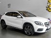 Mercedes-Benz GLA 250 4Matic 2018 - Cần bán xe Mercedes GLA250 4Matic sản xuất năm 2018, màu trắng