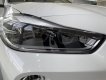 BMW X2 2022 - Bán ô tô BMW X2 sDrive20i năm sản xuất 2022, màu trắng, xe nhập