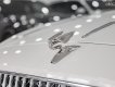 Bentley Flying Spur 2021 - Cần bán Bentley Flying Spur V8 First Edition năm sản xuất 2021, màu trắng, xe nhập