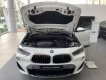 BMW X2 2022 - Bán ô tô BMW X2 sDrive20i năm sản xuất 2022, màu trắng, xe nhập