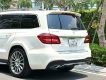 Mercedes-Benz GLS 400 2019 - Xe màu trắng