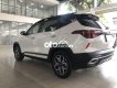 Kia Seltos   1.4 Turbo Premium  2021 - Cần bán xe Kia Seltos 1.4 Turbo Premium năm sản xuất 2021, màu trắng còn mới, 759 triệu