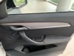 BMW X2 2022 - Bán ô tô BMW X2 sDrive20i năm sản xuất 2022, màu trắng, xe nhập
