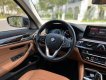 BMW 530i 2020 - BMW 530i 2020, siêu lướt, giá rẻ, bank hỗ trợ 80%