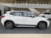 BMW X2 2022 - Bán ô tô BMW X2 sDrive20i năm sản xuất 2022, màu trắng, xe nhập