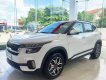 Kia Seltos 2022 - Kia Seltos tại showroom Kia Yên Bái