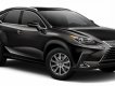 Lexus NX 300    2021 - Bán Lexus NX 300 sản xuất 2021, màu đen, nhập khẩu nguyên chiếc  