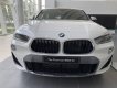BMW X2 2022 - Bán ô tô BMW X2 sDrive20i năm sản xuất 2022, màu trắng, xe nhập