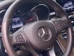 Mercedes-Benz GLC 250 2020 - Bán xe Mercedes GLC250 4Matic sản xuất 2020