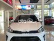 Kia Soluto  MT Deluxe 2022 - Bán Kia Soluto MT Deluxe sản xuất năm 2022, màu trắng