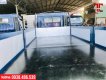 Daehan Teraco 2022 - Daehan Teraco 350 thùng lửng 6m1 giá cực tốt khuyến mãi hấp dẫn