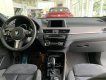 BMW X2 2022 - Bán ô tô BMW X2 sDrive20i năm sản xuất 2022, màu trắng, xe nhập