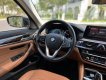 BMW 530i 2020 - Bán xe BMW 530i Luxury Line sản xuất 2020, màu đen