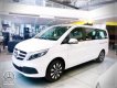 Mercedes-Benz V250 2023 - Xe gia đình 7 chỗ siêu rộng - Nhập khẩu chính hãng - Xe giao ngay