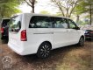 Mercedes-Benz V250 2023 - Xe gia đình 7 chỗ siêu rộng - Nhập khẩu chính hãng - Xe giao ngay