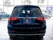 Mercedes-Benz GLS 450 2019 - Xe màu xanh lam