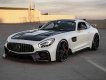 Mercedes-Benz AMG GT 2016 - Xe hai màu