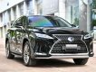 Lexus RX 450 2022 - Xe cực đẹp