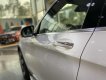 Mercedes-Benz GLC 300 2022 - Xe màu trắng