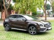 Mercedes-Benz GLA 250 2017 - Xe nhập biển thành phố