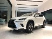 Lexus NX 300 2021 - Bán ô tô Lexus NX 300 năm sản xuất 2021, màu trắng