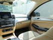 Mercedes-Benz GLE 43 2017 - Xe nhập