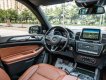 Mercedes-Benz GLS 500 2016 - Cần bán xe đăng ký 2017, màu đen