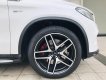 Mercedes-Benz GLE 43 2019 - Xe màu trắng nội thất kem