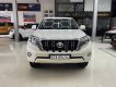 Toyota Land Cruiser Prado 2016 - Xe chính chủ