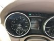 Mercedes-Benz GL 450 2009 - Chính chủ cần sang nhượng cho người hữu duyên, toàn bộ đều zin. Xem xe tại quận 7 HCM