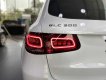 Mercedes-Benz GLC 300 2022 - Xe màu trắng
